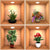 Green Plant Potted 3D Wall Stickers (Set of 4)